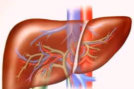 FDA phê chuẩn thuốc mới điều trị viêm gan C