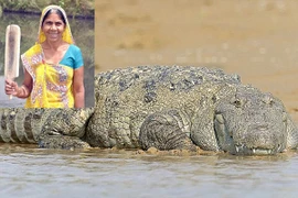 Mẹ dùng chày đánh trả cá sấu, giải cứu cho con gái 