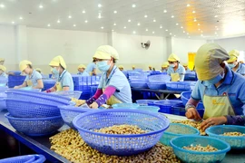 Việt Nam: Kinh tế có khả năng phục hồi cao và năng lực sản xuất tăng 