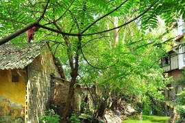 Giữ lại dòng chảy lịch sử văn hóa các con sông định danh cho Hà Nội (3): Phải cứu bằng được những gì chưa mất 