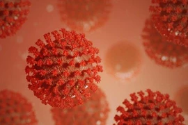 Những tác động tích cực không ngờ của virus SARS-CoV-2 