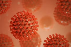 Những tác động tích cực không ngờ của virus SARS-CoV-2 