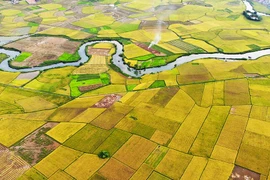 Ngắm mùa vàng Bắc Sơn từ trên cao