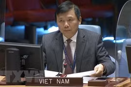 Việt Nam nỗ lực cùng ASEAN xây dựng khu vực Đông Nam Á hòa bình, ổn định và thịnh vượng 