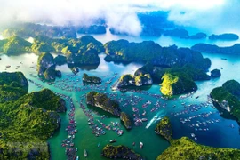 Xử lý nghiêm các vi phạm về bảo vệ môi trường khu bảo tồn biển Việt Nam 