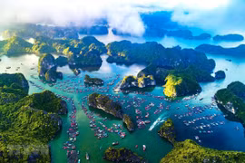 Xử lý nghiêm các vi phạm về bảo vệ môi trường khu bảo tồn biển Việt Nam 