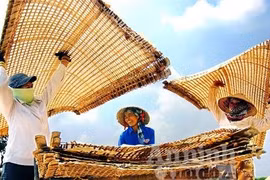 Miến dong - trăm vạn món ngon 