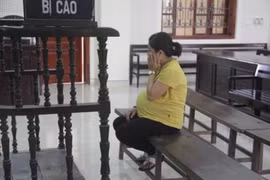 Quy định pháp luật về hoãn thi hành án đối với phụ nữ mang thai và nuôi con nhỏ 