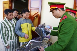 Nghị định: Quy định chi tiết thi hành một số điều của Luật Thi hành án hình sự