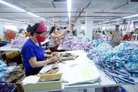 Kinh tế Việt Nam năm 2021: Vị thế, đà phục hồi và tăng trưởng 