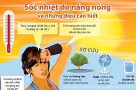 Đề phòng sốc nhiệt do nắng nóng 