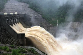 Bảo đảm an toàn vận hành xả lũ thủy điện Hòa Bình và kiểm tra an toàn đê điều tại Hà Nội 
