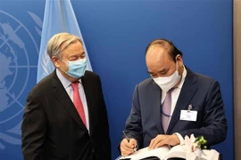 Liên hợp quốc đánh giá cao vai trò và vị thế ngày càng gia tăng của Việt Nam 