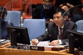 Việt Nam nâng cao vị thế ASEAN tại Hội đồng Bảo an trong giải quyết vấn đề quốc tế 