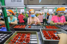 Tác động của dịch Covid-19 đối với doanh nghiệp và giải pháp thích ứng