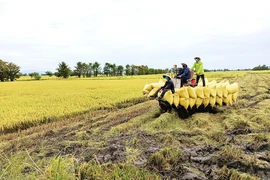 Nông sản phía Nam ùn ứ, xử lý nguy cơ thiếu thực phẩm cuối năm