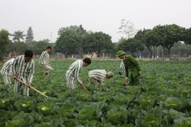 Quy định pháp luật về việc thăm gặp phạm nhân