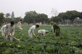 Quy định pháp luật về việc thăm gặp phạm nhân