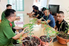 Cuộc “săn tìm” cơ hội đổi đời mù quáng bằng kinh doanh... “đột biến”