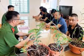 Cuộc “săn tìm” cơ hội đổi đời mù quáng bằng kinh doanh... “đột biến”