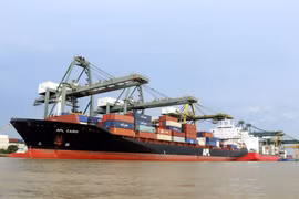 Việt Nam là quốc gia có trách nhiệm trong xây dựng môi trường quốc tế hòa bình 