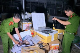 Quy định pháp luật về xử lý việc kinh doanh hàng hóa xách tay không có hóa đơn, chứng từ