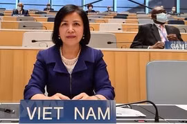 Việt Nam thúc đẩy bảo vệ các quyền con người, nâng cao hiệu quả phòng chống đại dịch Covid-19 