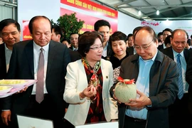 Thủ tướng sẽ trực tiếp giới thiệu nông sản Việt Nam ra thế giới