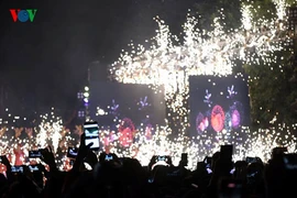 Cả nước tưng bừng đón chào năm mới Đinh Dậu 2017