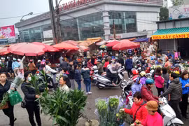 Hà Nội: Chợ hoa ngày cuối năm
