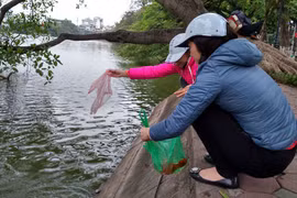 Hà Nội: Thả cá chép tiễn ông Công ông Táo trong thời tiết đẹp