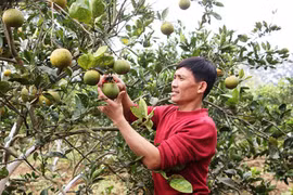 Làm lại cuộc đời từ... vấp ngã
