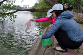 Hà Nội: Thả cá chép tiễn ông Công ông Táo trong thời tiết đẹp