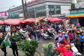 Hà Nội: Chợ hoa ngày cuối năm