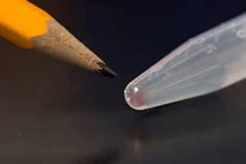 Lưu hình ảnh kỹ thuật số vào trong ADN