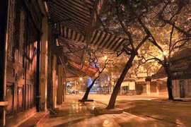 Người sang ở phố