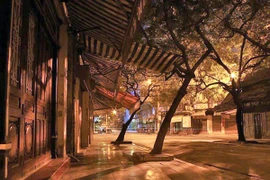 Người sang ở phố