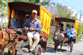 Về miền Tây, vui Tết Dương lịch bằng xe ngựa