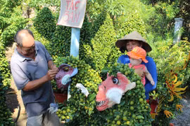 Bộ cây quất cảnh hình khỉ độc, lạ dịp Tết Bính Thân 2016