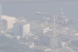 Công nhân Fukushima nhiễm xạ quá mức an toàn