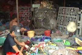 Cần một giải pháp cho làng nghề tái chế rác thải