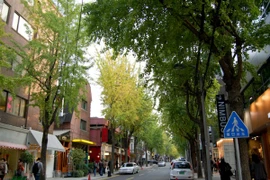 Hàn Quốc: Miễn phí tour xe bus cho khách du lịch tự do Việt Nam