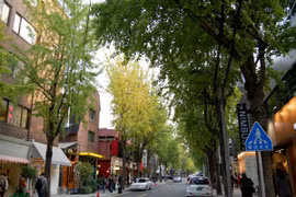 Hàn Quốc: Miễn phí tour xe bus cho khách du lịch tự do Việt Nam