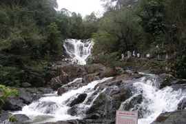 Tổng cục Du lịch đề nghị làm rõ vụ du khách và hướng dẫn viên tử vong tại Đà Lạt