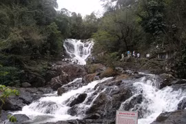 Tổng cục Du lịch đề nghị làm rõ vụ du khách và hướng dẫn viên tử vong tại Đà Lạt