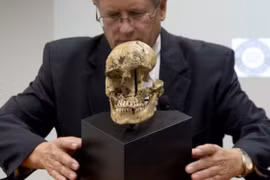 Bằng chứng người ăn thịt người đã rõ