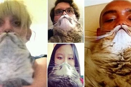 Rộ mốt chụp ảnh "ria mèo" 