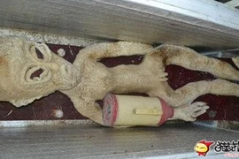 Nông dân Trung Quốc khoe ảnh chụp với người ngoài hành tinh