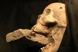 Phát hiện mộ ma cà rồng, cách thức táng khủng khiếp