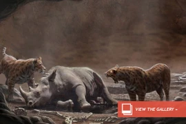 Cạm bẫy tử thần cho loài ăn thịt thời cổ đại